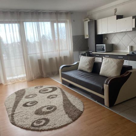2Br Cosy Apart Satu Mare Exterior photo